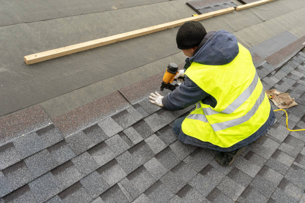 Best Roof Gutter Cleaning  in Hilltop, MN