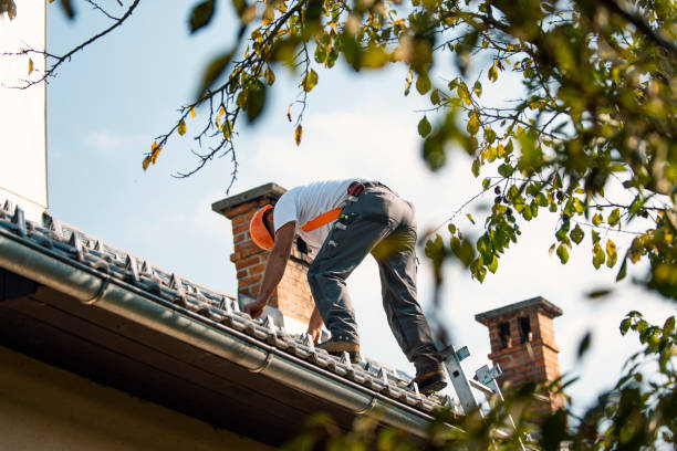 Roof Gutter Cleaning in Hilltop, MN
