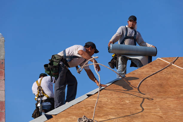 Best Commercial Roofing Services  in Hilltop, MN