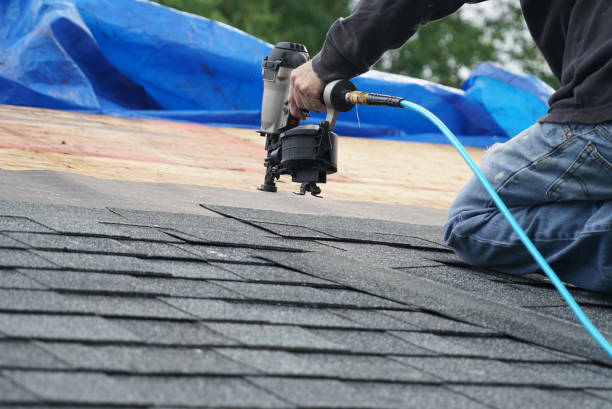 Best Roof Repair Services  in Hilltop, MN