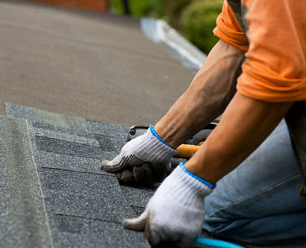 Best Roof Repair Specialists  in Hilltop, MN